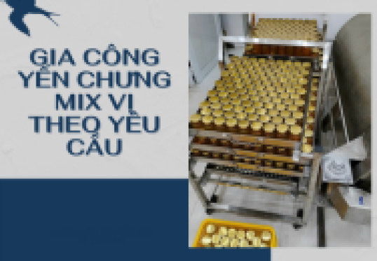 MINH GIA BẢO